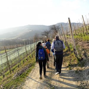 trekking e passeggiate nelle langhe e nel roero