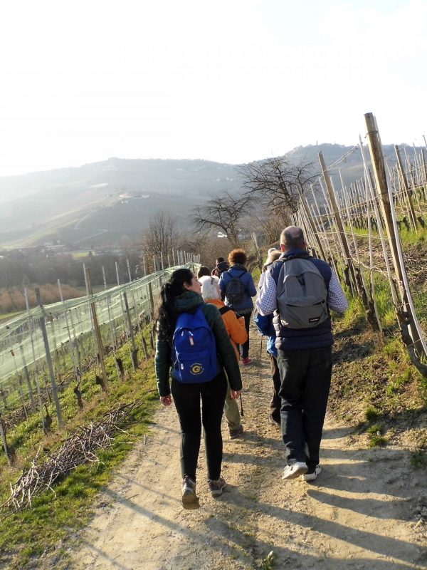 trekking e passeggiate nelle langhe e nel roero