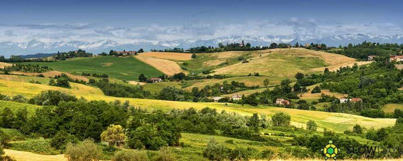 Vacanze alternative? Sì nel Monferrato!