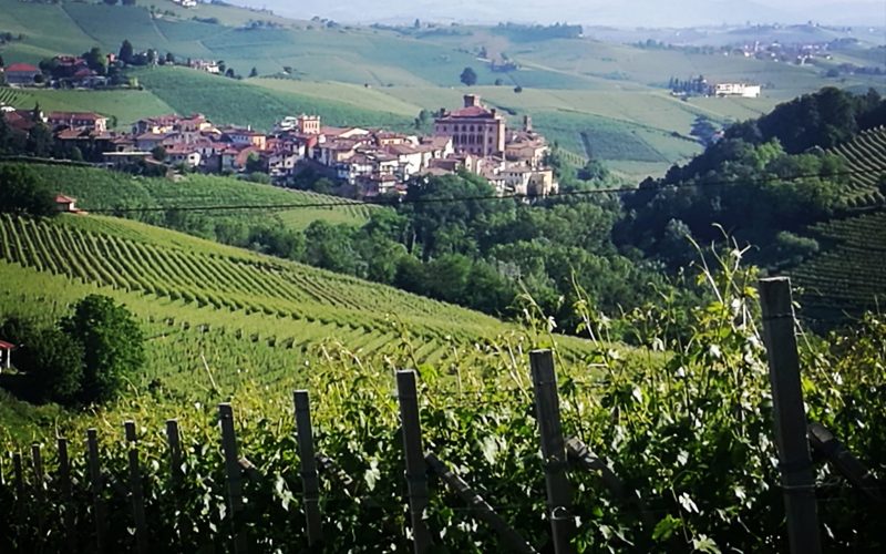 Castelli Langhe: Veduta di Barolo e del castello