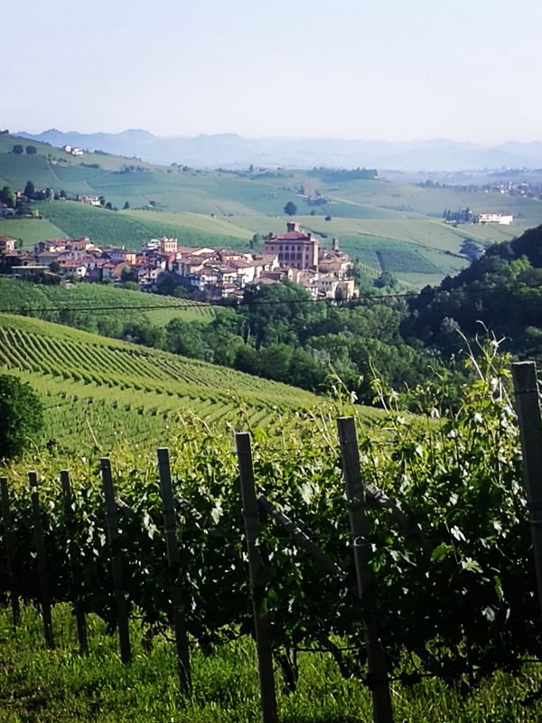 barolo visuale