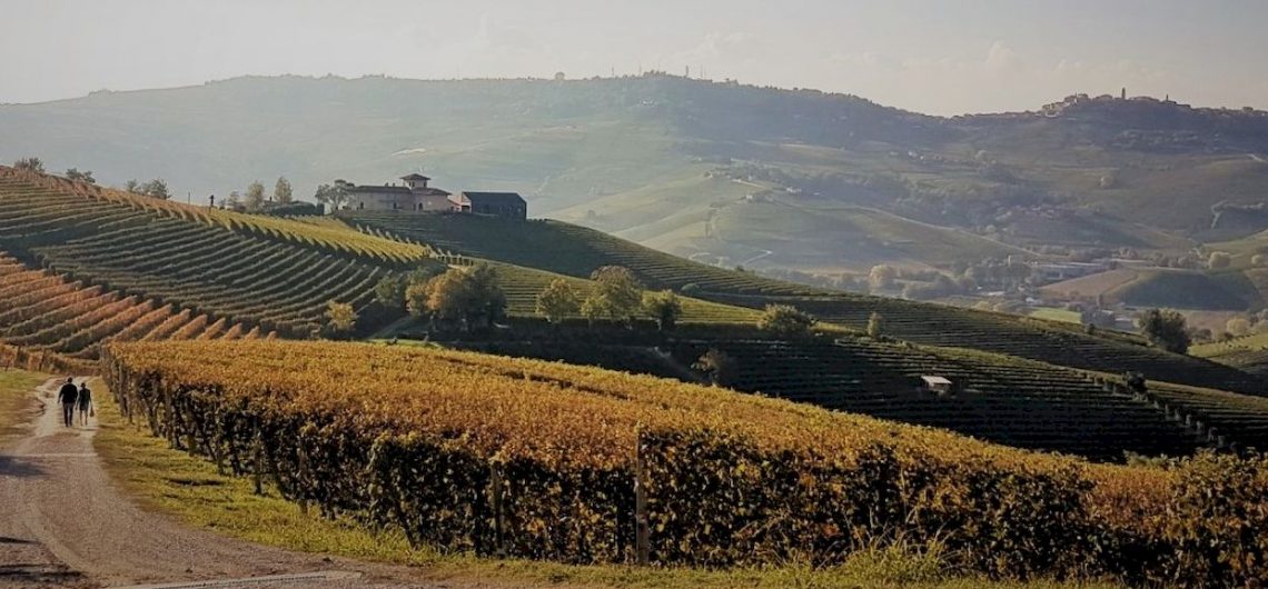 Langhe to get lost in the sunset