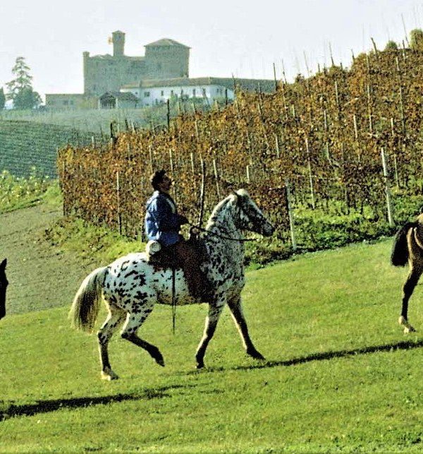 A cavallo nelle Langhe