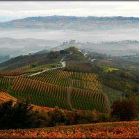 tour delle langhe