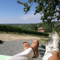 tailor-made tours in the langhe