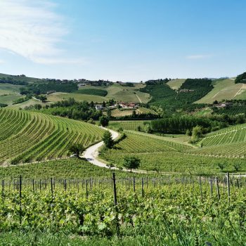 tour delle langhe