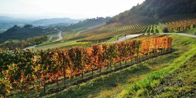 passeggiata langhe con degustazione