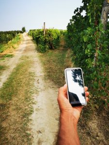 trekking langhe itinerari