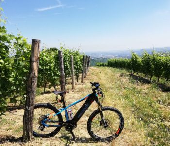 Ebike in vigna