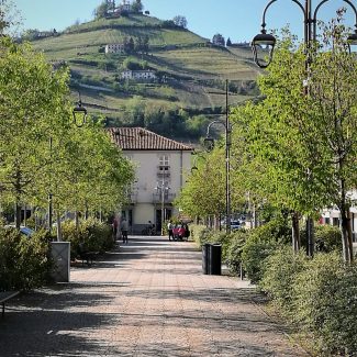 Un viale a Santo Stefano Belbo