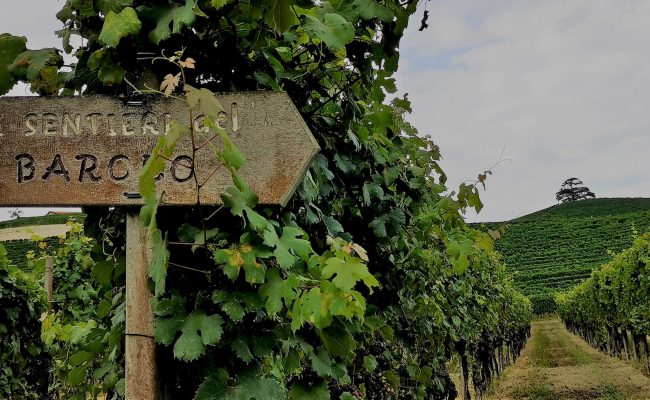 sentieri del barolo per un trekking Slowdays