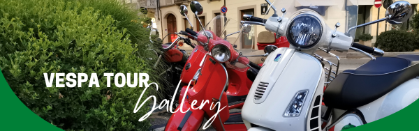 copertina gallery vespa