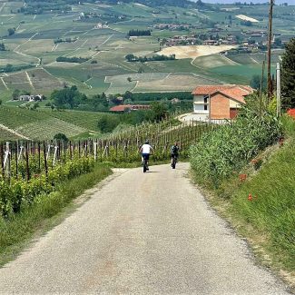 tour  in bici nelle colline del Barolo