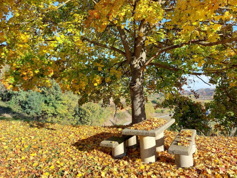 punto panoramico con tavolo perfetto per un picnic