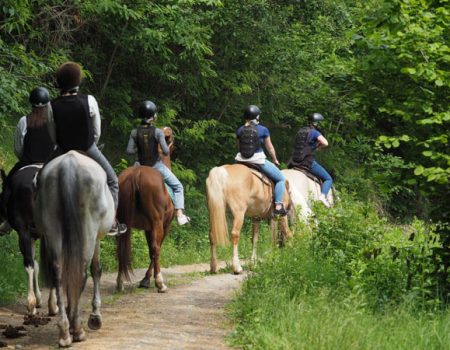 Gruppo di amici a cavallo