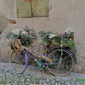 bike_monferrato_noleggio