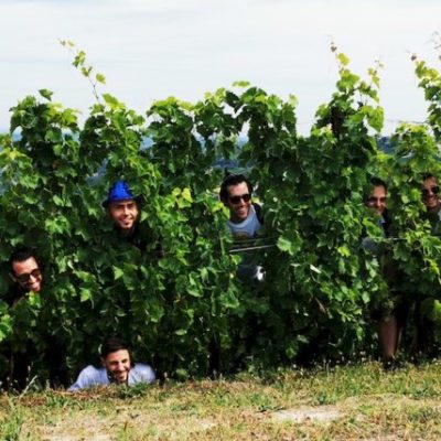 Ragazzi che sbucano dalle piante di vite