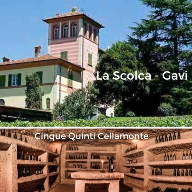 La Scolca-Gavi Cinque quinti-Cellamonte