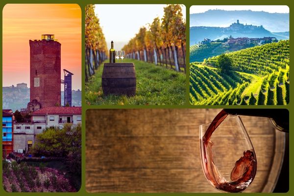 Tour-Langhe-date-fisse-Barolo-Barbareso